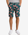 Tommy Hilfiger Hampton Flex Floral Short pants