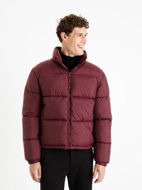 Celio Fuparigi Jacket