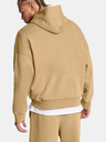 Under Armour Felpa con cappuccio Under Armour UA Icon HWT Flc Wash OS Hood-BRN da uomo