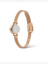 Daniel Wellington Orologio Daniel Wellington Petite Mini 19 Melrose da donna
