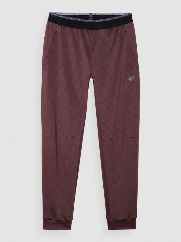 4F Pantaloni sportivi ad asciugatura rapida da uomo 4F