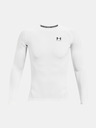 Under Armour Maglia compressiva a maniche lunghe da uomo Under Armour HG Armour Comp LS