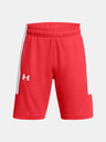 Under Armour Boys' Shorts Under Armour UA Baseline Short