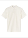 Celio Polo Gesohel Celio