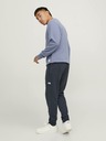 Jack & Jones Pantaloni da ginnastica Jack & Jones Will blu scuro da uomo