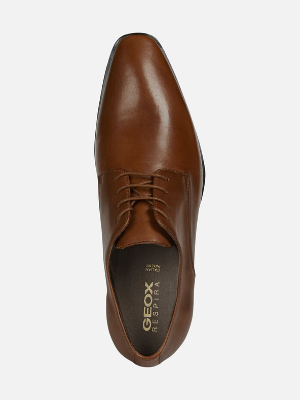 Geox Scarpe Geox High Life Party Uomo Marrone Scuro