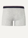Celio Boxer da uomo grigio chiaro Celio Mike