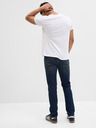 GAP Slim Soft Wear GapFlex Jeans GAP