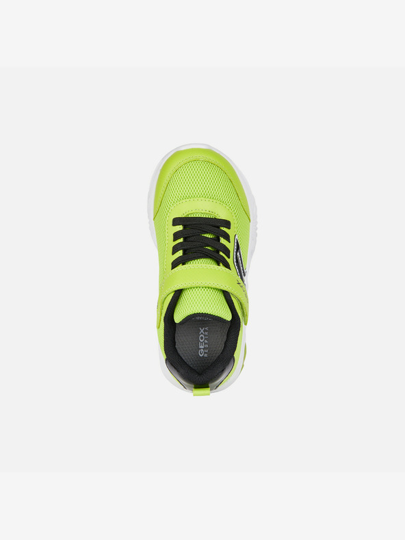 Geox Sneakers bambino verde chiaro Geox Assister