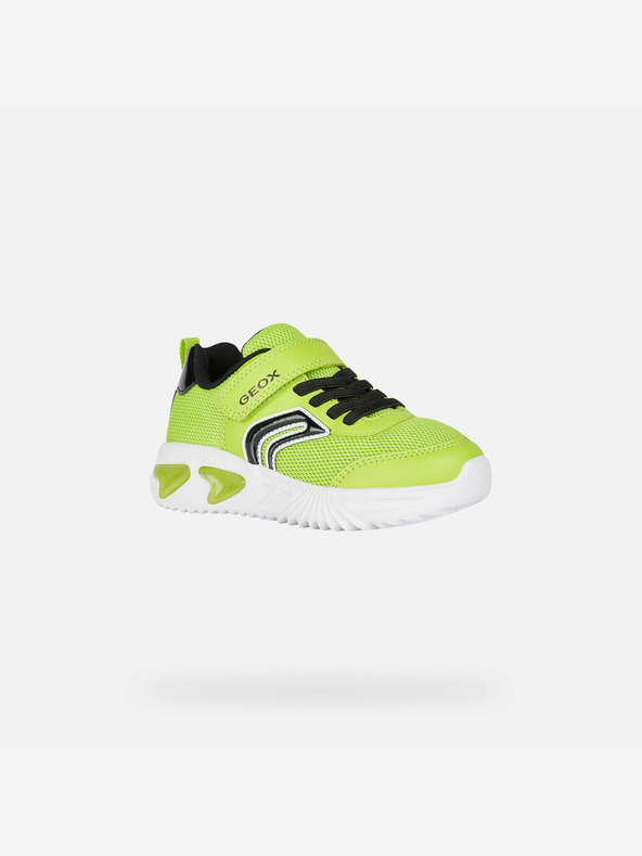 Geox Sneakers bambino verde chiaro Geox Assister