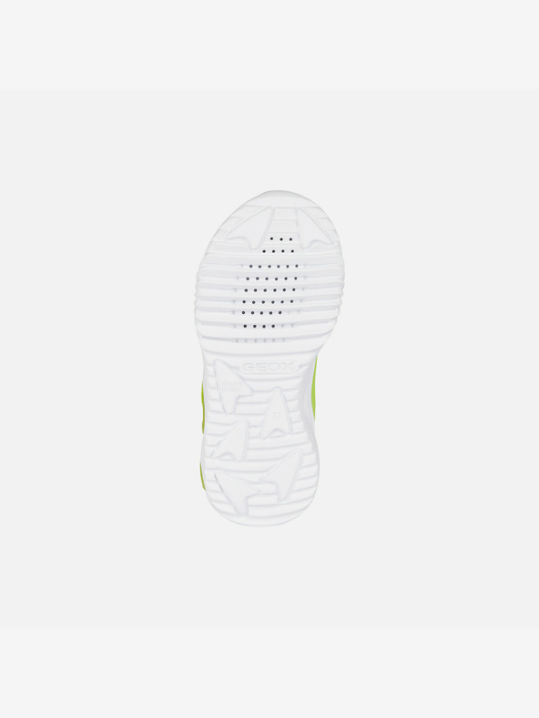 Geox Sneakers bambino verde chiaro Geox Assister