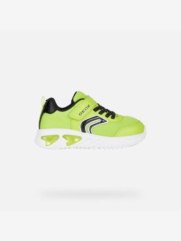 Geox Sneakers bambino verde chiaro Geox Assister