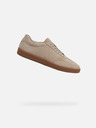 Geox Sneakers Geox Regio uomo beige