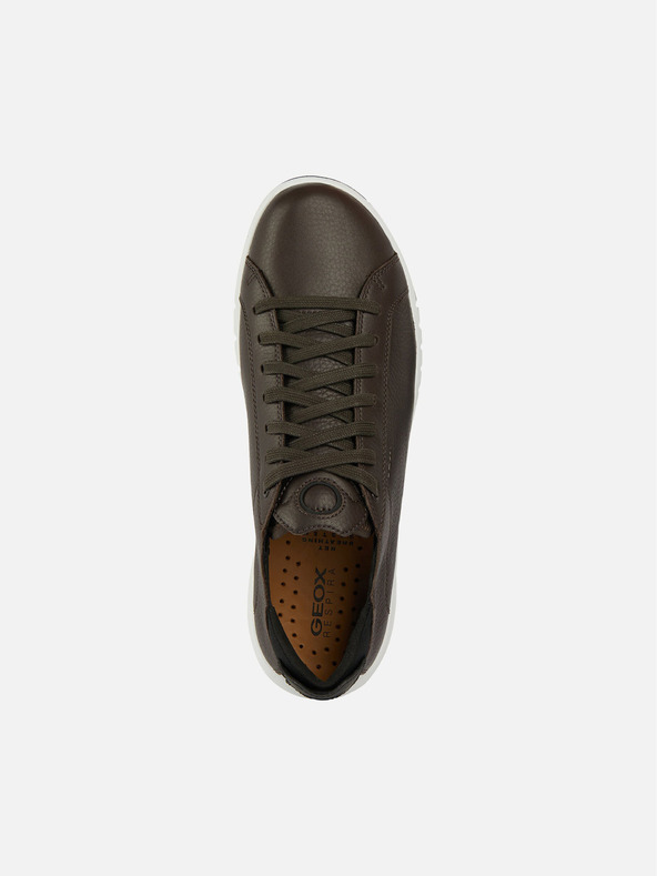 Geox Sneakers Geox Aerantis uomo marrone
