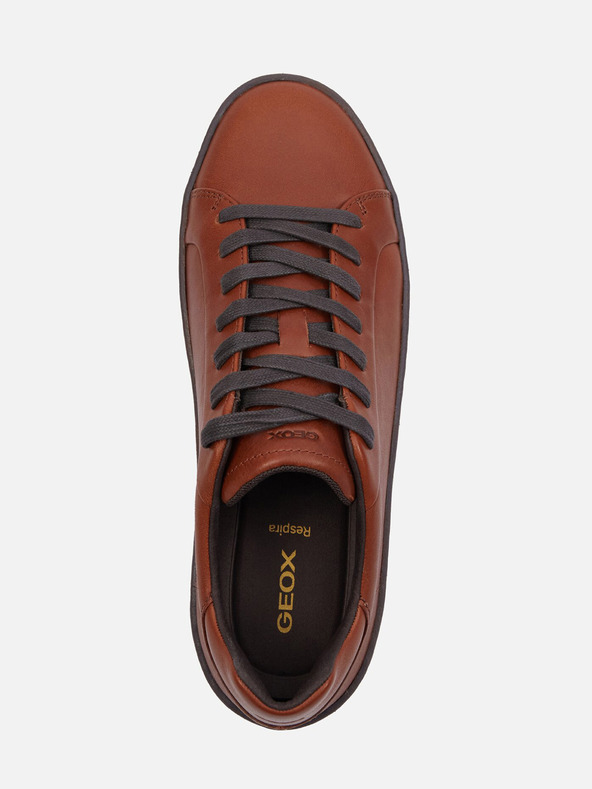 Geox Sneakers Geox Zackerty Uomo Marrone