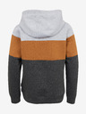 Sam 73 Felpa con cappuccio da ragazzo grigia e marrone SAM 73 Leael