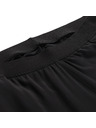 ALPINE PRO Pantaloni da donna ad asciugatura rapida con cool dry ALPINE PRO ZERECA