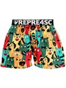 Represent Pantaloncini da uomo EXCLUSIVE MIKE CAT FANS Rappresentare