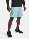 Under Armour Pantaloncini Under Armour UA TECH GRAPHIC da uomo