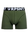 Represent Pantaloncini da uomo EXCLUSIVE SPORT GREEN Rappresentare