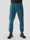 4F Pantaloni sportivi 4F da uomo