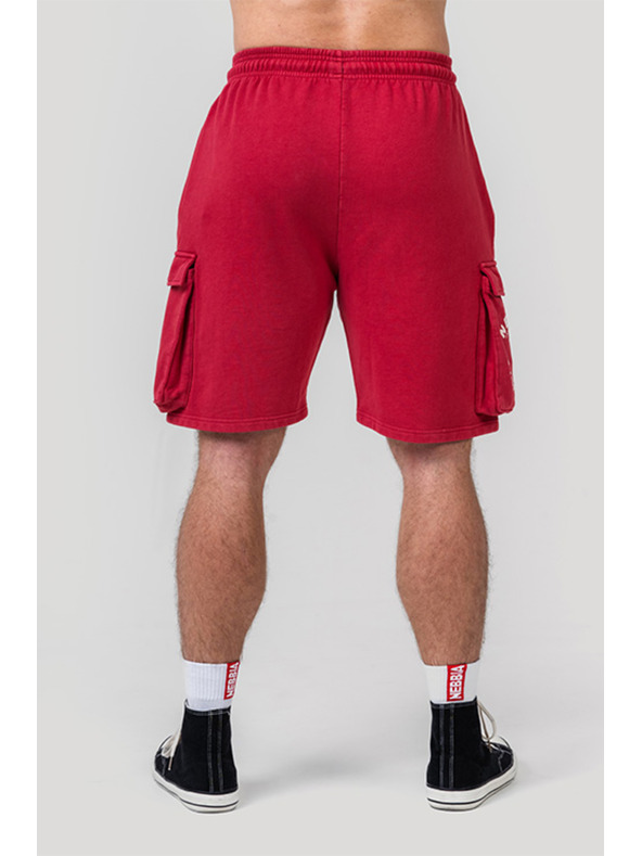 Nebbia Pantaloncini cargo lavati LEGACY 787 M, grigio chiaro