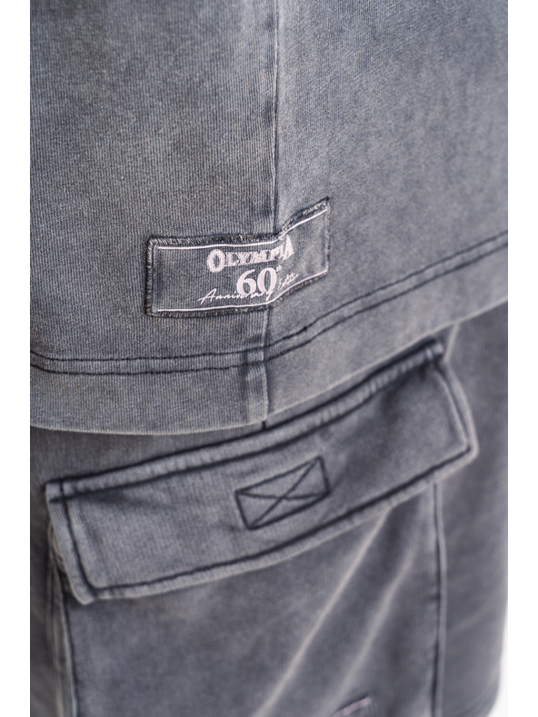 Nebbia Pantaloncini cargo lavati LEGACY 787 M, grigio chiaro