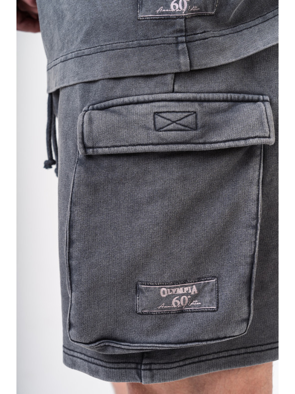 Nebbia Pantaloncini cargo lavati LEGACY 787 M, grigio chiaro