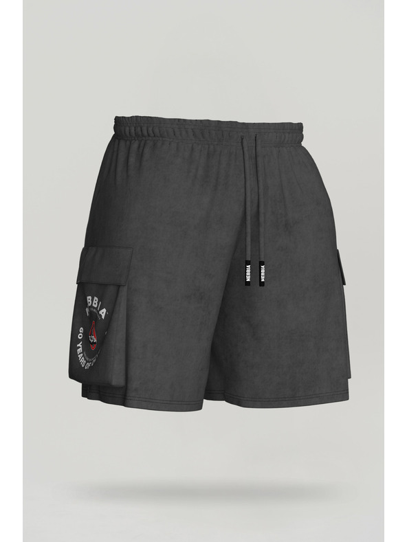 Nebbia Pantaloncini cargo lavati LEGACY 787 M, grigio chiaro