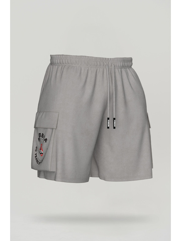 Nebbia Pantaloncini cargo lavati LEGACY 787 M, grigio chiaro