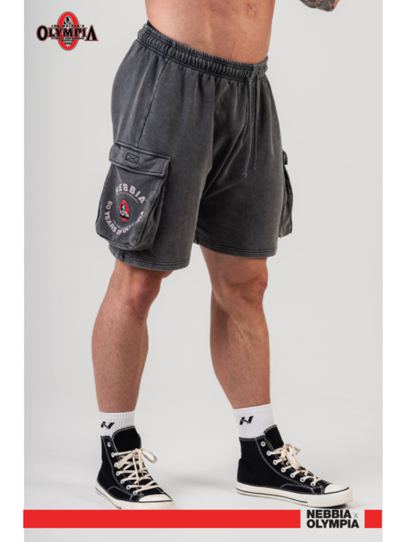 Nebbia Pantaloncini cargo lavati LEGACY 787 M, grigio chiaro