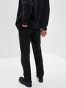 GAP Jeans straight GapFlex Americana GAP