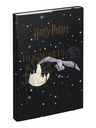 BAAGL  A4 Harry Potter Hogwarts Stemma Baagl
