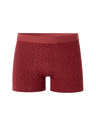 Celio Boxer Miboflori