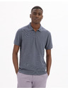 Celio Polo Lezipo