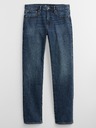 GAP Jeans GapFlex Straight Gap