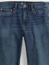 GAP Jeans GapFlex Straight Gap