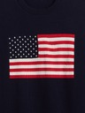 GAP Maglione Americana GAP