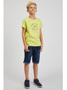 Sam 73 Maglietta gialla da ragazzo in cotone SAM73 Pyrop